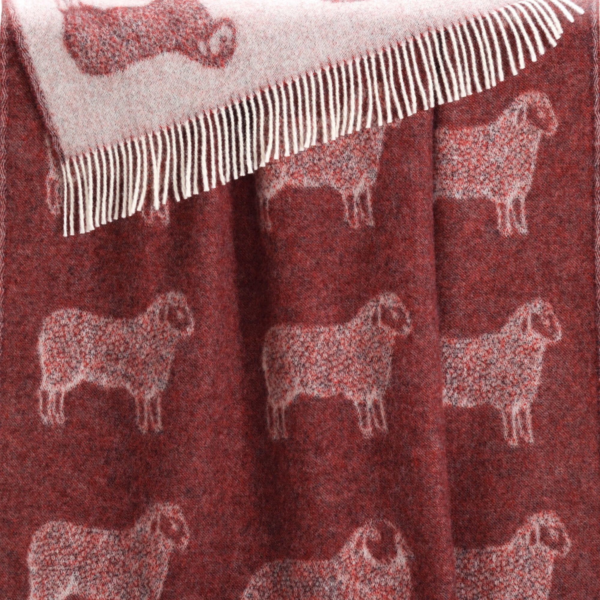Sheep Burgundy Red Pure Wool Throw