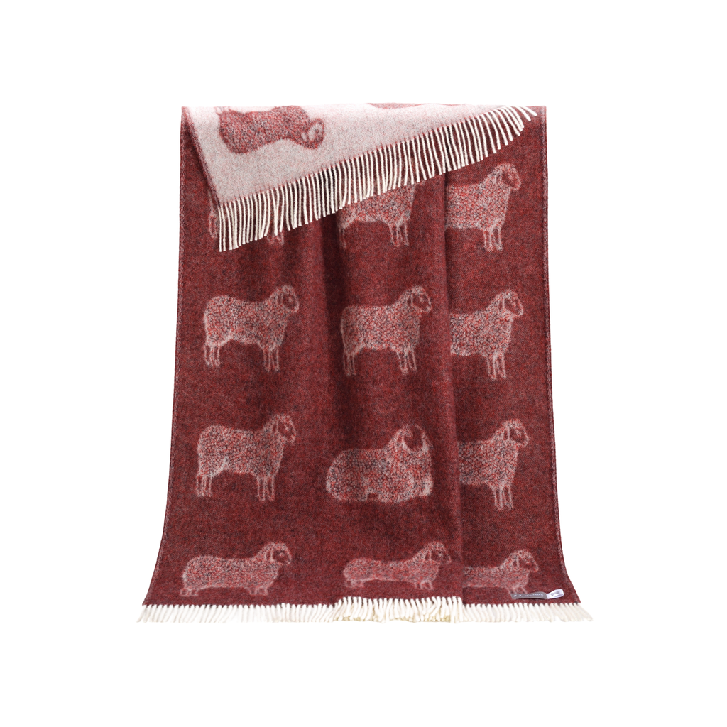 Sheep Burgundy Red Pure Wool Throw
