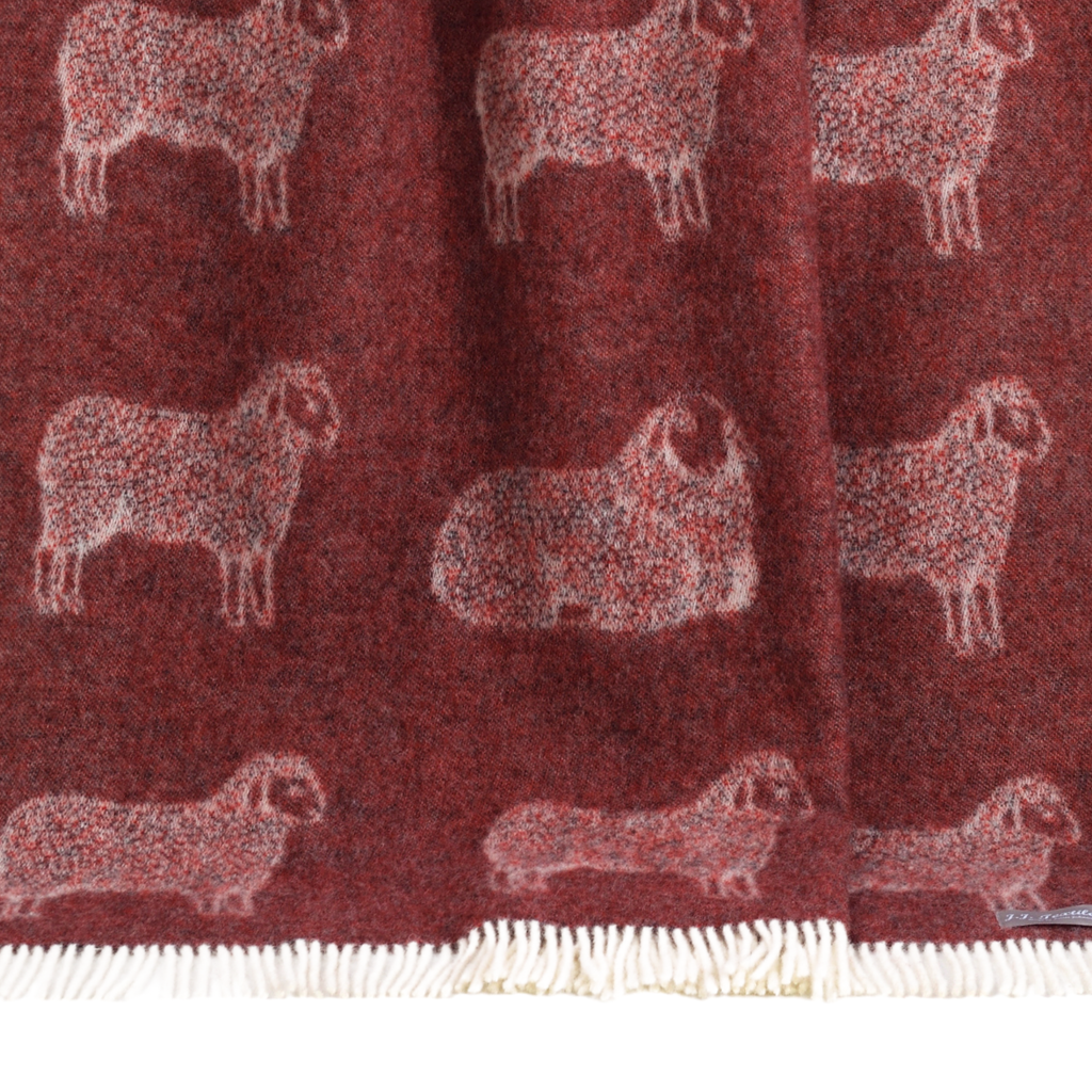 Sheep Burgundy Red Pure Wool Throw