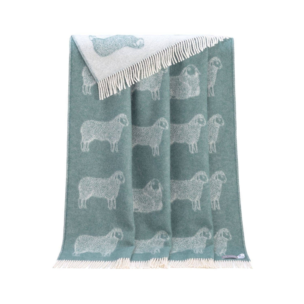 Eucalyptus Green Sheep Pure Wool Throw