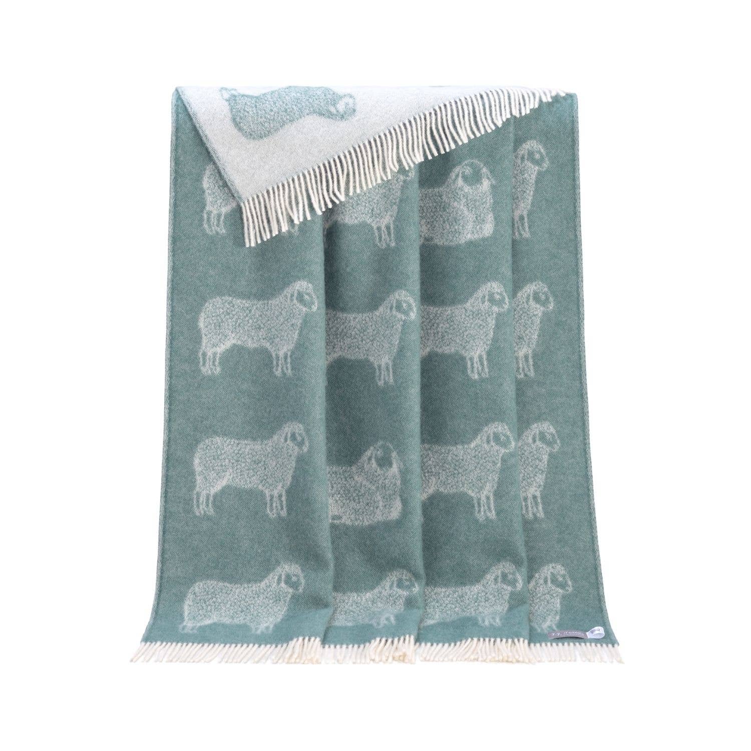 Eucalyptus Green Sheep Pure Wool Throw