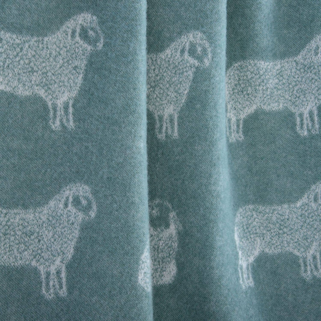 Eucalyptus Green Sheep Pure Wool Throw