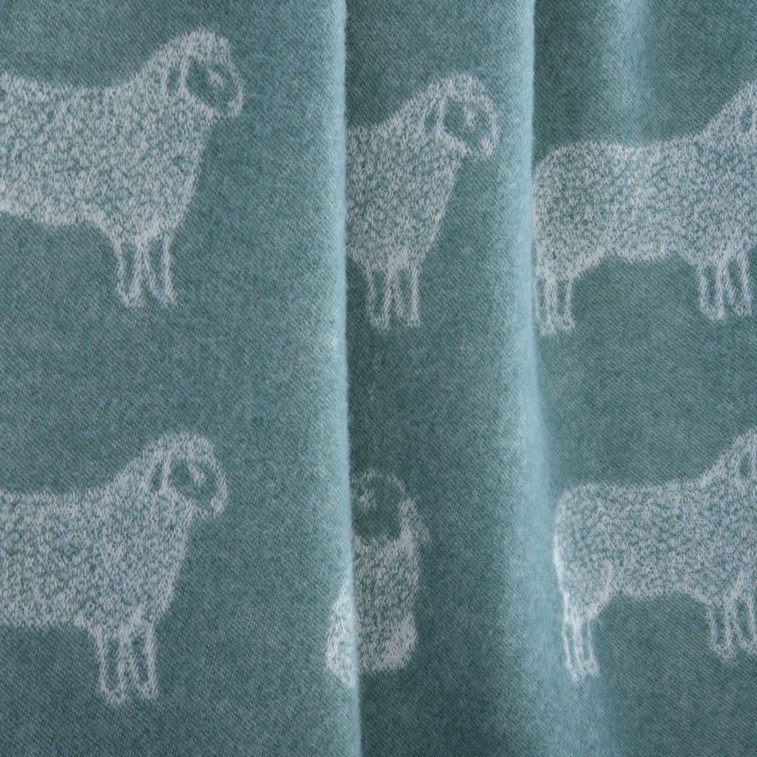 Eucalyptus Green Sheep Pure Wool Throw