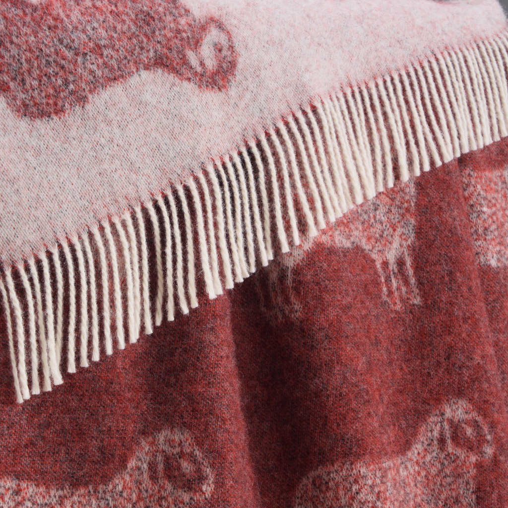 Sheep Burgundy Red Pure Wool Throw