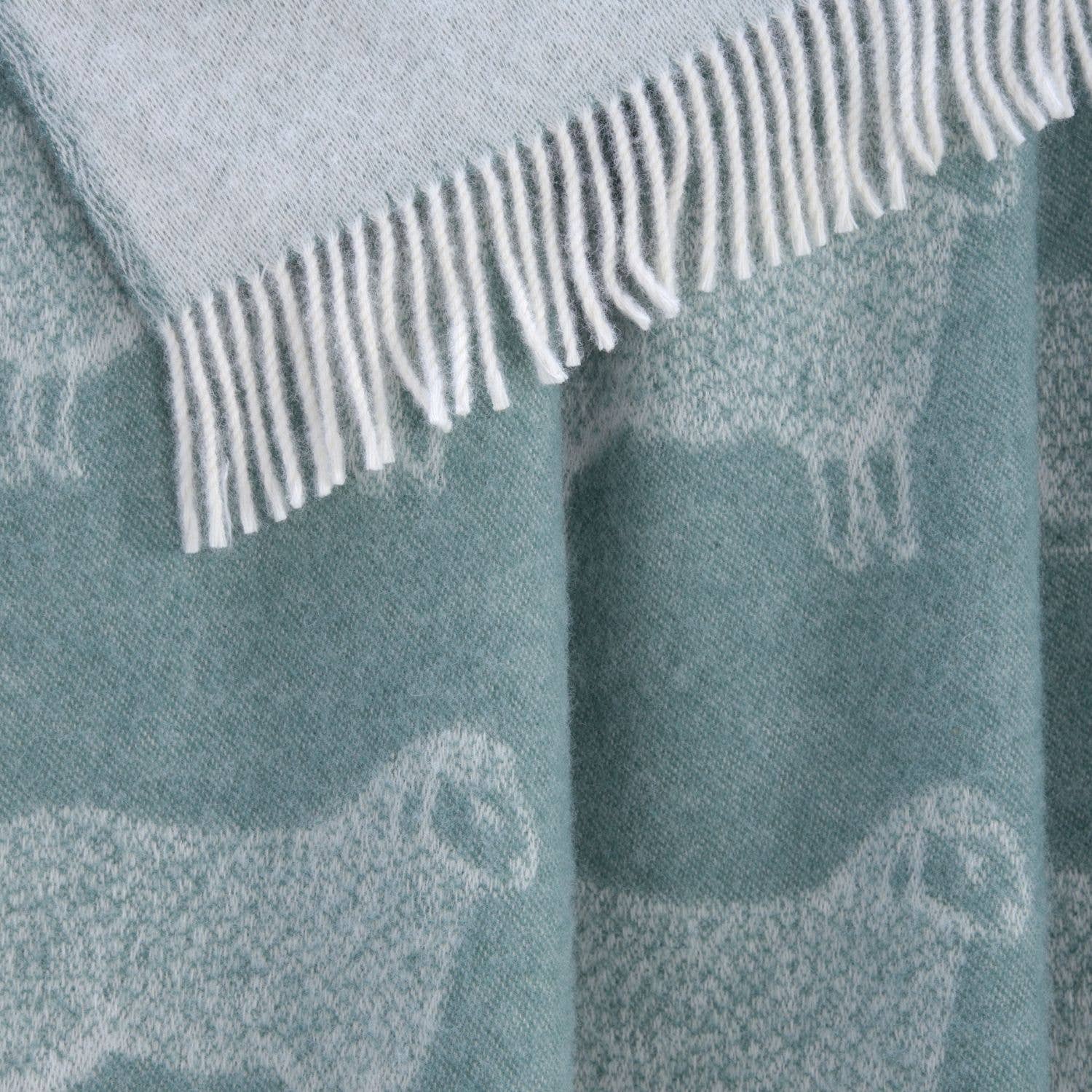Eucalyptus Green Sheep Pure Wool Throw